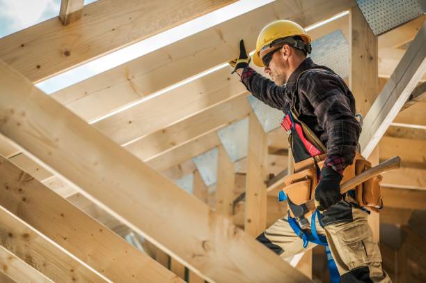 Best Roof Leak Repair  in Davis Junction, IL