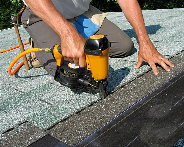 Best Commercial Roofing Services  in Davis Junction, IL