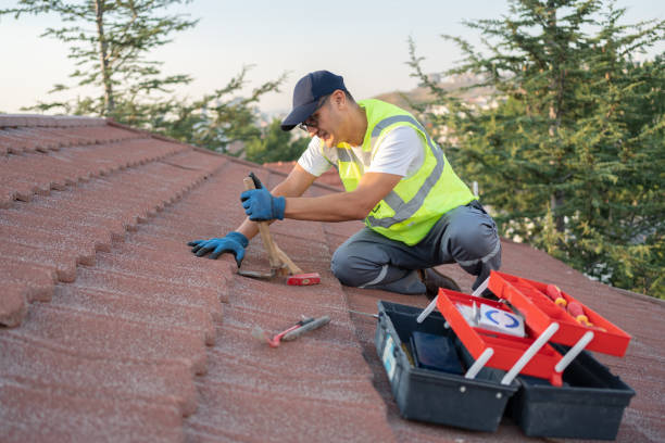 Best Metal Roofing Contractor  in Davis Junction, IL