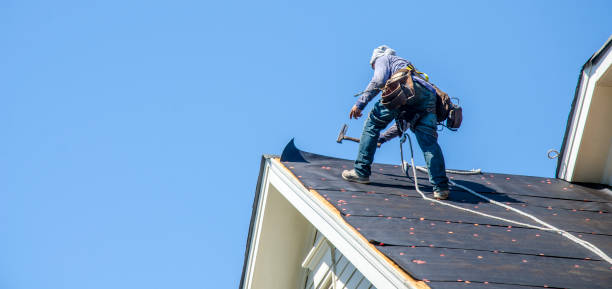 Quick and Trustworthy Emergency Roof Repair Services in Davis Junction, IL